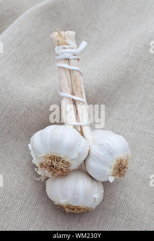 Garlic bulb and cloves on a hessian background Stock Photo - Alamy