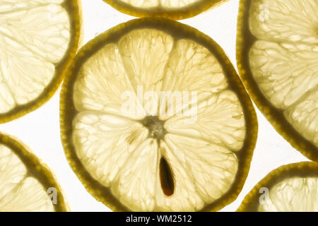 af77d504-df18-4b09-a508-7aa0497db3ab Stock Photo