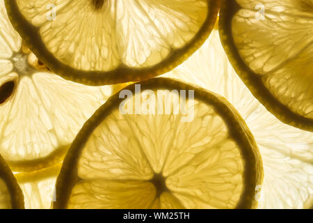 a79bcf49-f5a8-45f3-9d3b-fd48477e2e3f Stock Photo