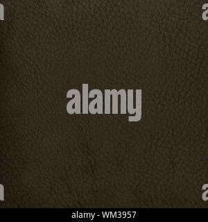 Closeup detail of green leather texture background. Stock Photo