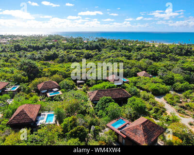Aerial view of luxury villa with swimming pool in tropical forest. Private tropical villa with swimming pool among tropical garden with palm trees