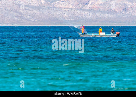 compass net fishing Compass in fishing net Stock Photos, Royalty Free Compass in fishing net  Images