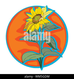 Sunflower clip art, hand drawn cartoon illustration isolated on white Stock Photo