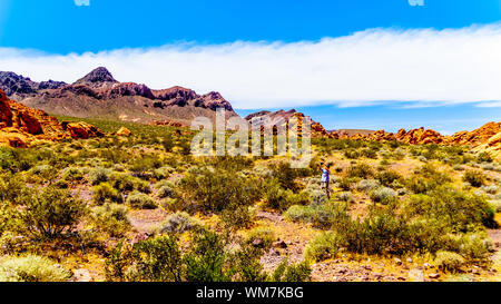 Colorful Mountains along Northshore Road SR167 in Lake Mead National Recreation Area in semi desert landscape between Boulder City and Overton, NV, US Stock Photo