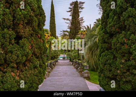 Alley with steps and a fountain in a summer green park. Arboretum of Sochi. Stock Photo