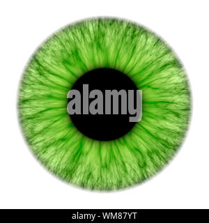 An illustration of a nice green iris texture Stock Photo