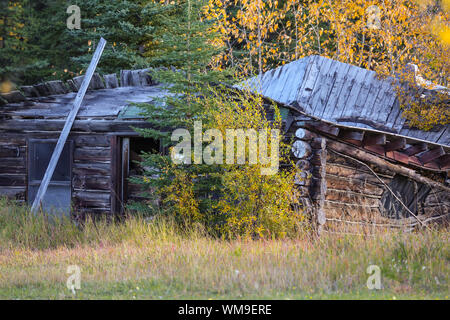 Old Trapper log cabin decayed, Copper Center, Alaska Stock Photo