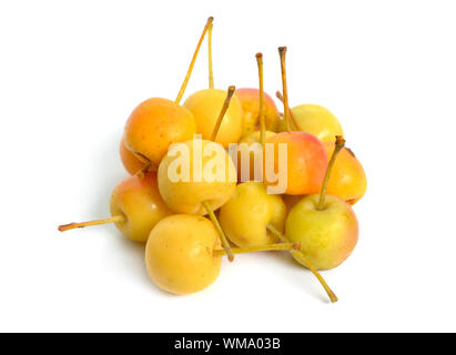 Malus baccata known by the common names Siberian crab apple, Siberian crab, Manchurian crab apple and Chinese crab apple. Isolated Stock Photo