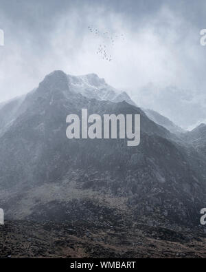 Stunning moody dramatic Winter landscape mountain image of snowcapped Y Garn in Snowdonia with birds flying high above Stock Photo