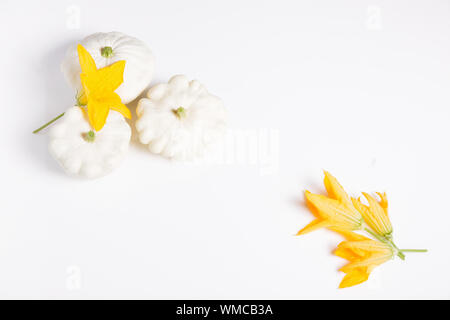 White squash vegetables on a white flat background for decoration design. Top view, flat lay. White background. Stock Photo