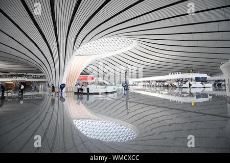 (190905) -- BEIJING, Sept. 5, 2019 (Xinhua) -- Photo taken on Sept. 4, 2019 shows an interior view of the Daxing International Airport in Beijing, capital of China. The new airport, which has completed a key check and a final review in its application for an operating license, will start operation in September. (Xinhua/Zhang Chenlin) Stock Photo