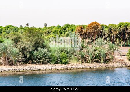 Bank of Nile river seen during touristic cruise, Egypt Stock Photo