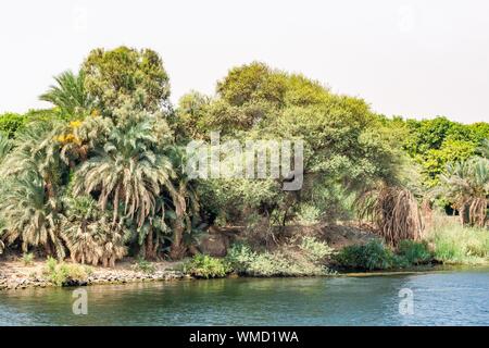 Bank of Nile river seen during touristic cruise, Egypt Stock Photo