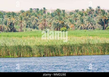 Bank of Nile river seen during touristic cruise, Egypt Stock Photo