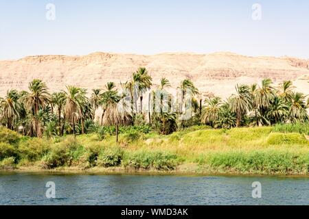 Bank of Nile river seen during touristic cruise, Egypt Stock Photo