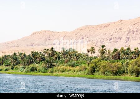 Bank of Nile river seen during touristic cruise, Egypt Stock Photo