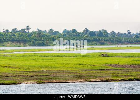 Bank of Nile river seen during touristic cruise, Egypt Stock Photo