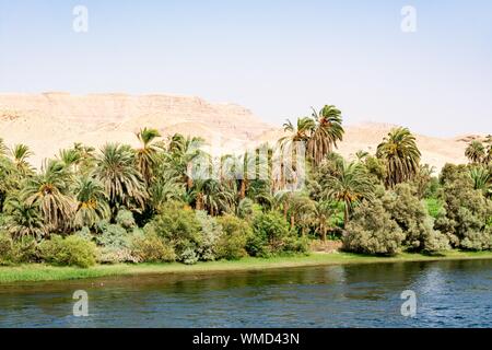 Bank of Nile river seen during touristic cruise, Egypt Stock Photo