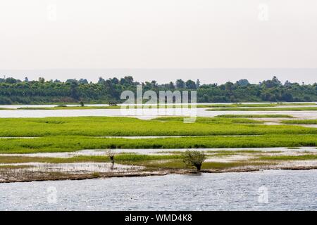 Bank of Nile river seen during touristic cruise, Egypt Stock Photo