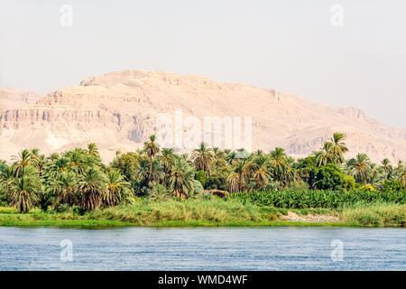 Bank of Nile river seen during touristic cruise, Egypt Stock Photo