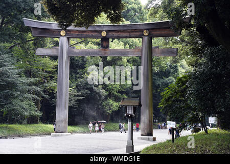 Yoyogi park - Tokyo Street Scene - Japan Stock Photo