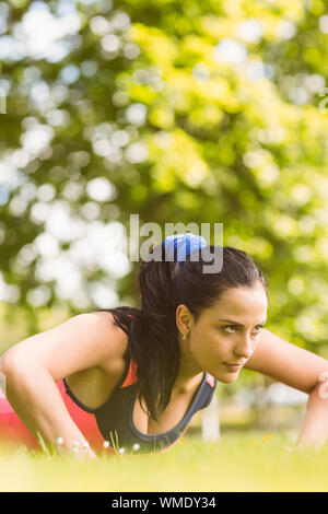 Fit determined brunette doing push ups in the park Stock Photo