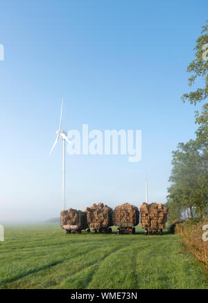 carts with straw and wind turbine in meadow on misty summer morning in north germany Stock Photo