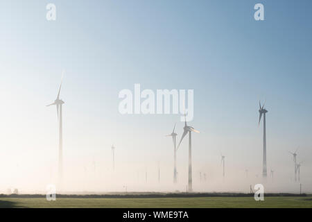 wind turbines in green meadow near aurich in ostfriesland on misty morning in august Stock Photo