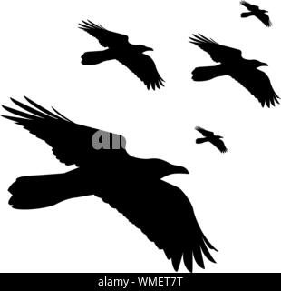 seamless vector pattern with flying black ravens on white background Stock Vector