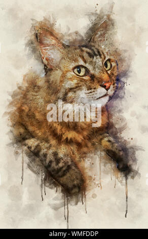 Watercolor illustration of tabby cat portrait lookin up Stock Photo