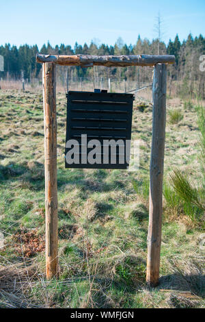 bark beetle trap, Eifel National Park, North Rhine-Westphalia, Germany, Europe Stock Photo