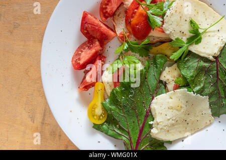 Top view on white plate full of vegetarian food - tomatoes, cheese, mangold, slices of white bread flavored with parsley, grinded  black pepper and su Stock Photo