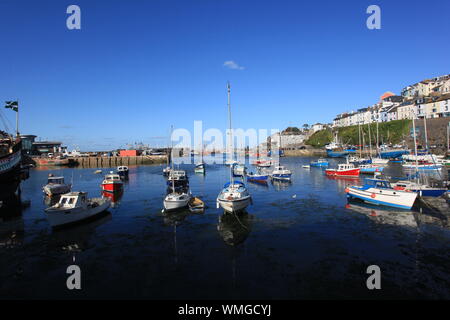 Travel, Transport & Lifestyle -  Panoramic view of yachts and sailing boats moored along the English Riviera at Brixham Harbour, Devon. Stock Photo