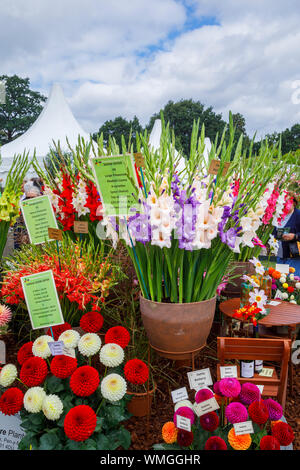 Display of dahlia and gladiolus flowers at the September 2019 Wisley Garden Flower Show at RHS Garden Wisley, Surrey, south-east England Stock Photo