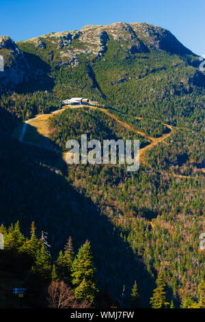 Top of Gondolier ski trail in the summer, Stowe Vermont, USA Stock Photo