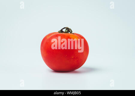 Tomato isolated. Tomato with clipping path. Full depth of field. Stock Photo