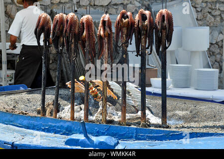 Octopus being cooked on hot embers at popular seafood restaurant El Penon in Salobrena beach resort on the Costa Tropical, Granada, Spain. Stock Photo