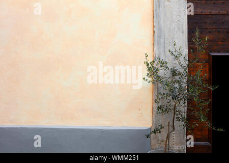 A pale yellow wall framed by a grey stone edge and door frame and an open, wooden door to the right. In front is a small olive tree. Stock Photo