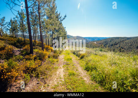 Mountain landscape. Dirt road in the Serra da Estrela Natural Park, Portugal Stock Photo