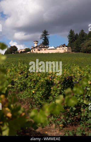 Willamette Valley Vineyards is a well known producer of Pinot Noir and is located in Turner, just outside of Salem, Oregon. Stock Photo