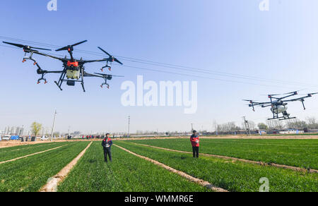 Beijing, China. 5th Sep, 2019. People fertilize wheat with drones in Gucheng County, north China's Heibei Province, April. 1, 2019. Rural revitalization strategy was first put forward during the 19th National Congress of the Communist Party of China in 2017 and repeatedly stressed by the Chinese leadership since then. The strategy's overall goal is to build rural areas with thriving businesses, pleasant living environments, social etiquette and civility, effective governance, and prosperity. Credit: Li Xiaoguo/Xinhua/Alamy Live News Stock Photo