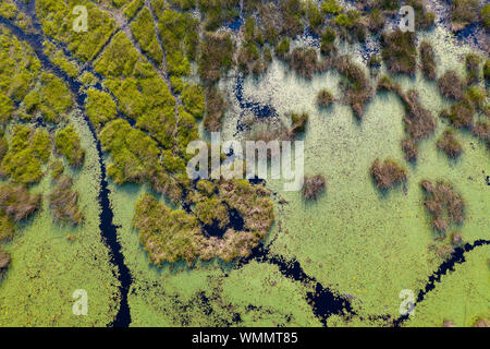 aerial view of a swamp of botswana