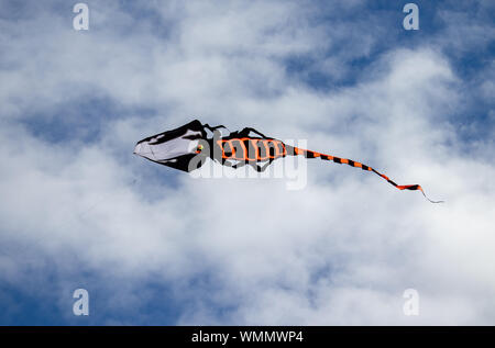 flying kite like black and orange dragon Stock Photo