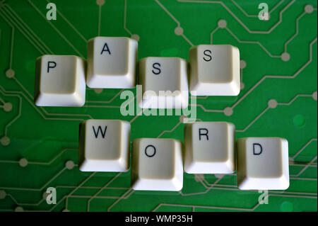 Keyboard keys form the word PASSWORD on green electric circuit in the background. Stock Photo