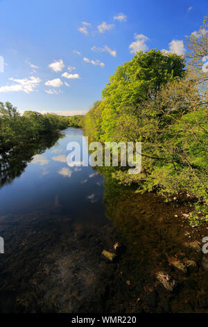 Summer view of the river Ure, Masham town, North Yorkshire, England, UK Stock Photo