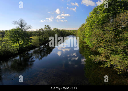 Summer view of the river Ure, Masham town, North Yorkshire, England, UK Stock Photo