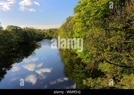 Summer view of the river Ure, Masham town, North Yorkshire, England, UK Stock Photo