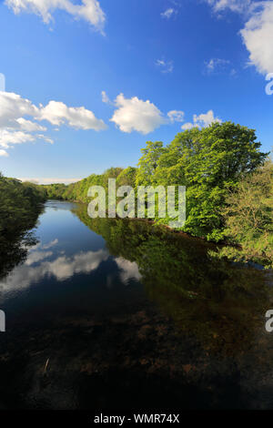 Summer view of the river Ure, Masham town, North Yorkshire, England, UK Stock Photo