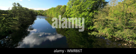 Summer view of the river Ure, Masham town, North Yorkshire, England, UK Stock Photo