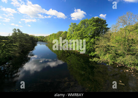 Summer view of the river Ure, Masham town, North Yorkshire, England, UK Stock Photo